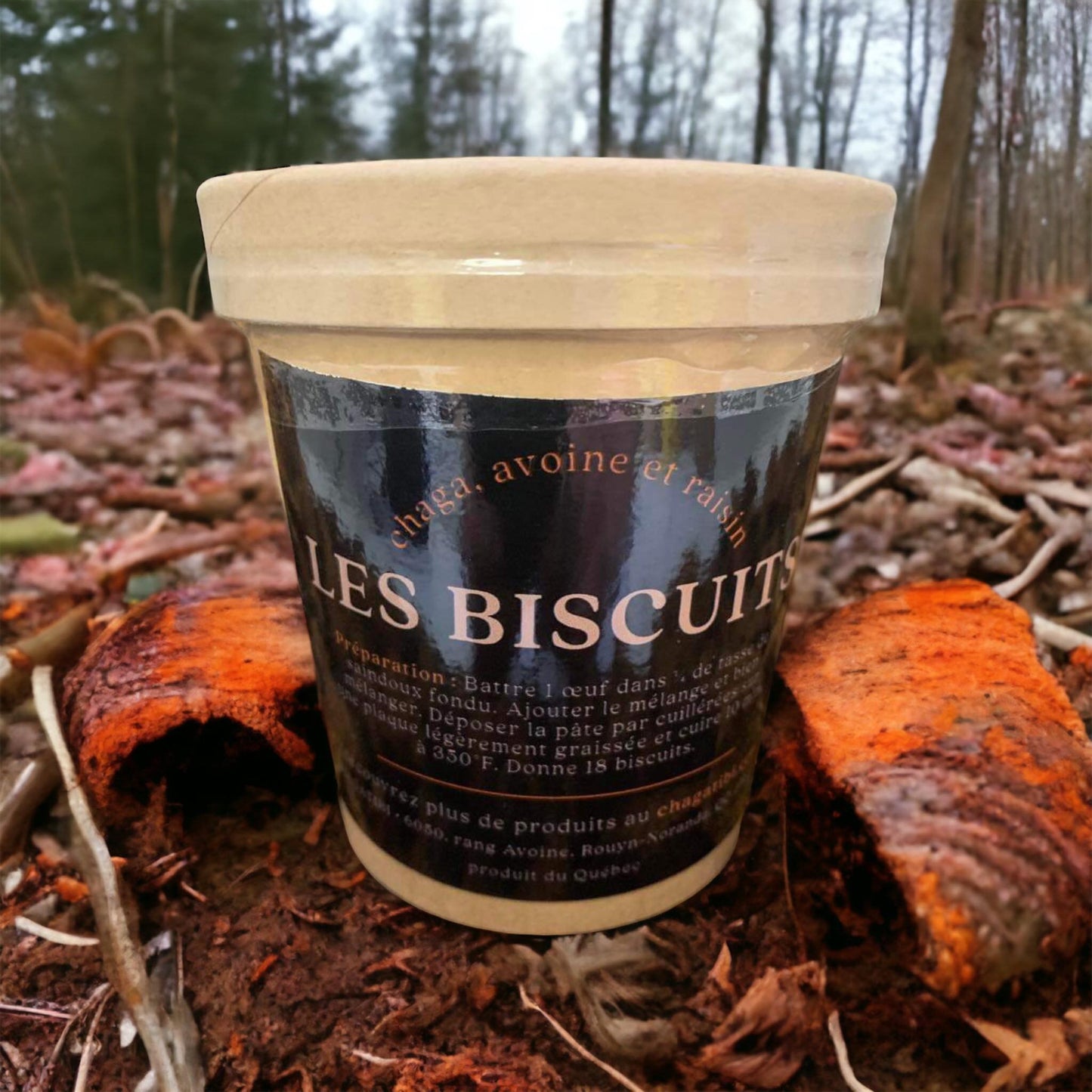 Les biscuits - Chaga, avoine et raisins