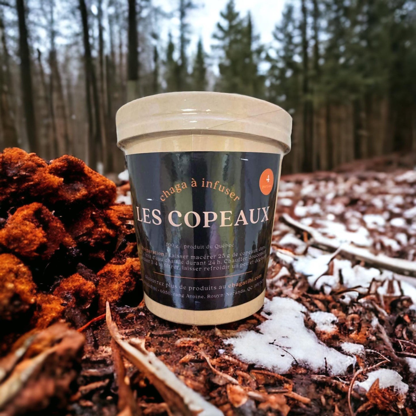 Les copeaux - Chaga à infuser