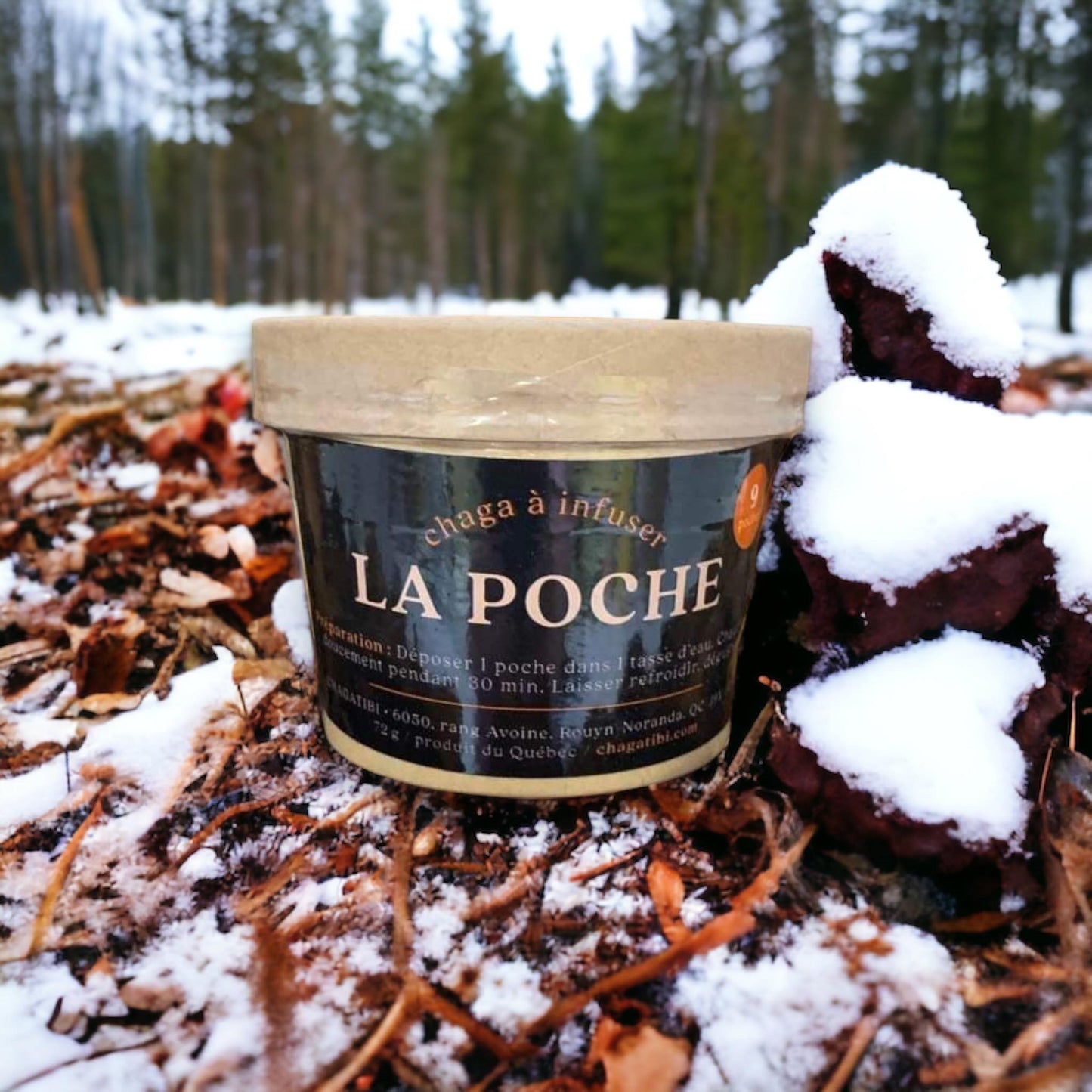 La poche - Chaga à infuser